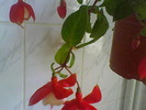 Picture 002