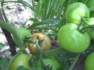 PICT0082