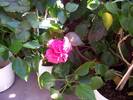 Summer 2005 291