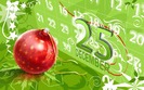 Christmas (41)