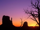 Evening Shade in the Desert 2