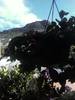 Foto0335