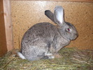 DSCF3829