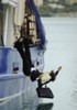 sam-goes-overboard-h2o-just-add-water-8687080-84-120