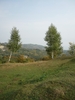 P1010899
