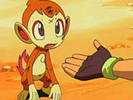 180px-Ash_chimchar_invite[1]