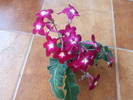 DSCF4643