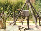 papusa mea 428