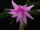 DSC01703