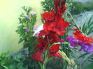 DSC00613