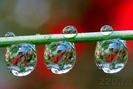 from_220_ro_13934