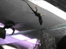 Picture 130