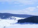 DSCF6896