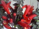 Picture 005