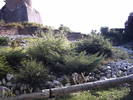 PICT0163