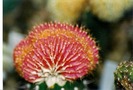 scan0002