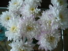 P1100734