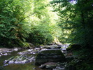 DSCF5118