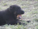poze 04.05.2009 118