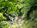 DSCF5334