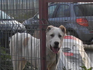 poze 01.05.2009 146
