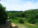 DSCF0523