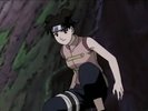 Tenten-naruto-anime