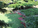 DSCF0476