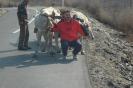 3 Doamne si toti trei:))
