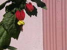 Picture 004