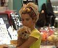 %%ashleytisdale-puppy-photos-041708-06