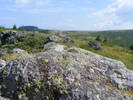 DSCF4123