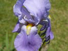 P1110943