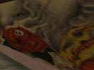 gallery77