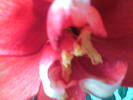 Imag010