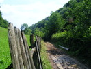 DSCF4903