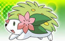 shaymin