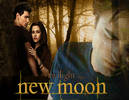 NEW-MOON-POSTER-MADE-IT-BY-ME-twilight-movie-6550029-2560-1978