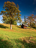 Toamna-in-Bucovina