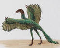 archaeopteryx[1]