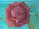 Imag090