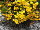 DSCF2192