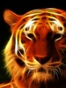 Fire_Tigre