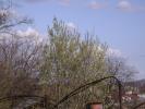 DSC00994
