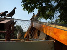 DSCN0672