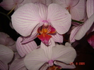 DSC02649