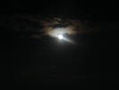 DSC00417