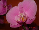 DSC02590
