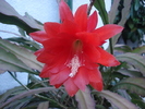 DSC05380