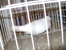 Picture 067